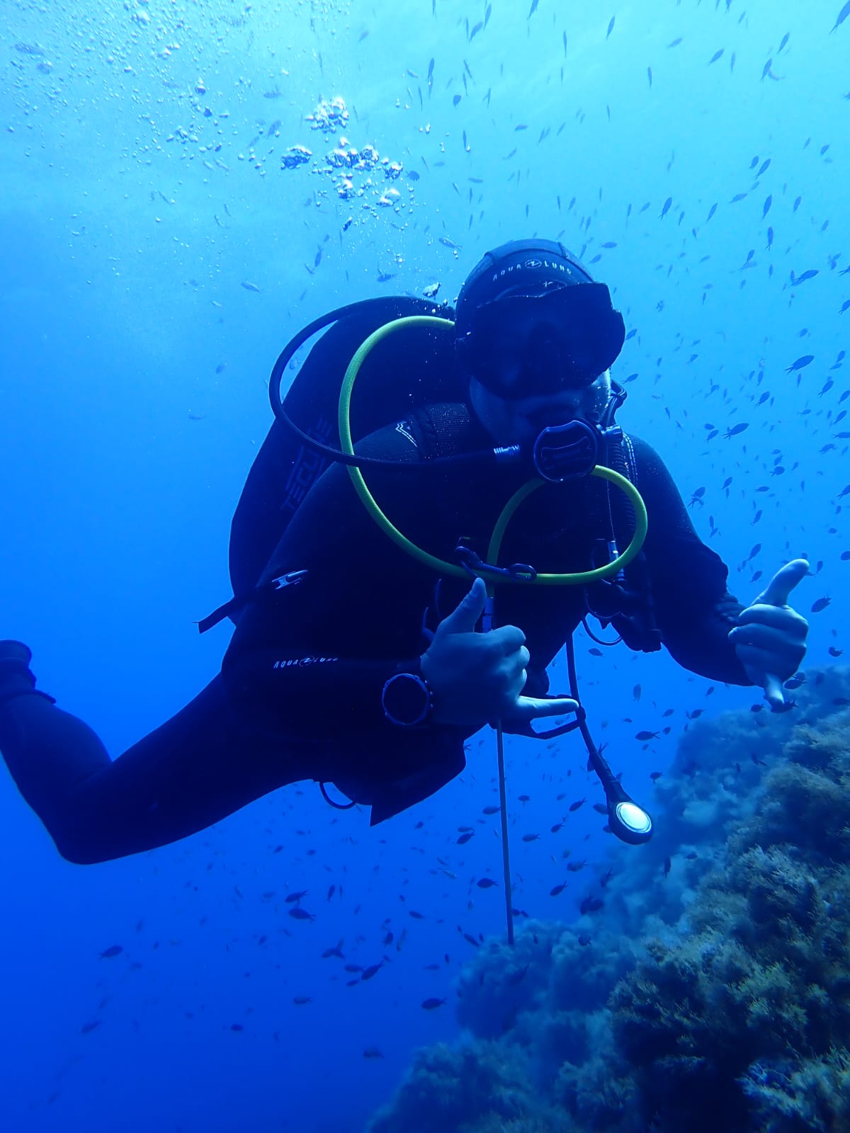 Intro Dive