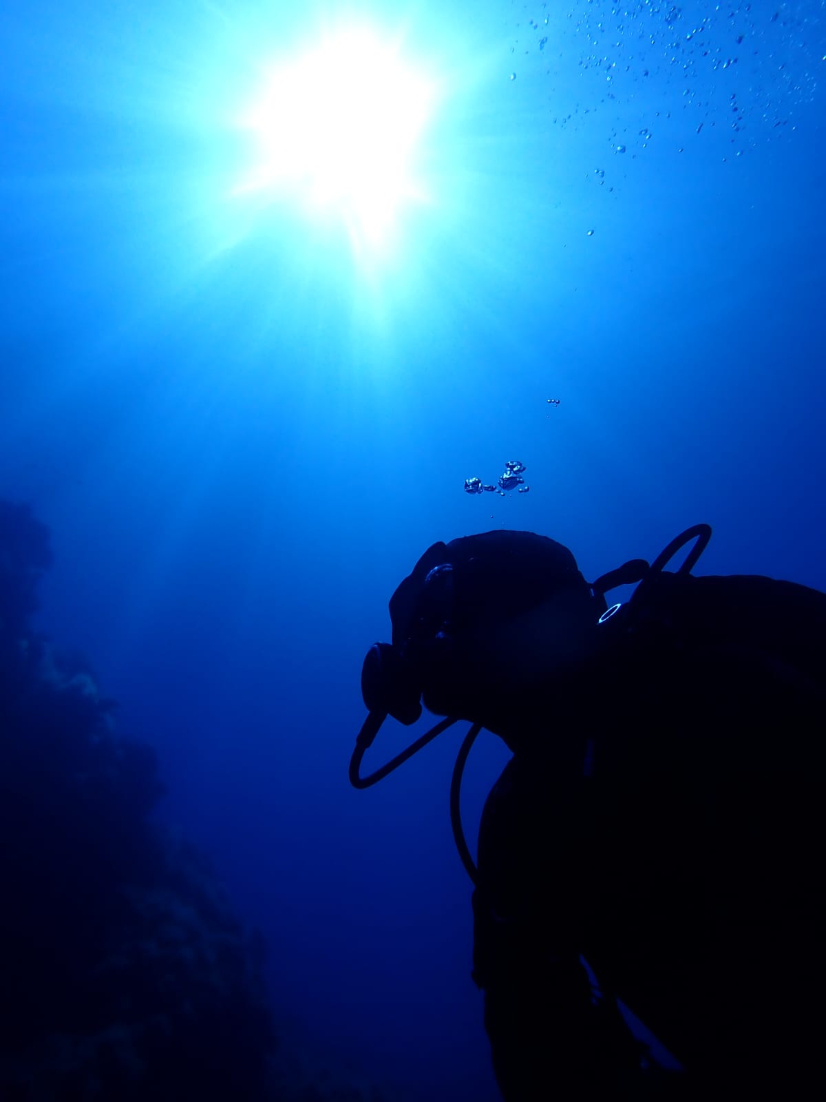 Photographie Sous-Marine