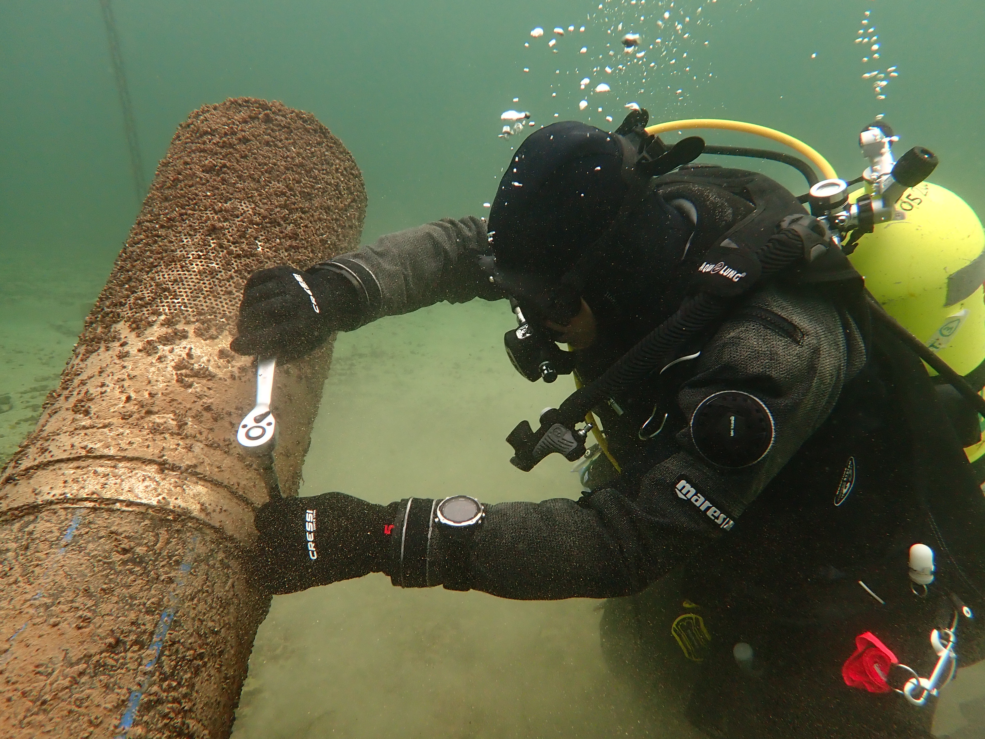 Professional Services